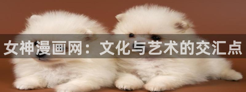韩国漫画无弹窗免费看韩漫