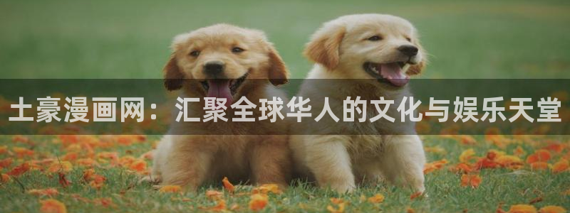 h韩漫在线免费观看