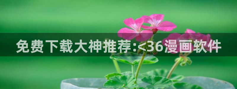 韩漫免费下拉式漫画阅读