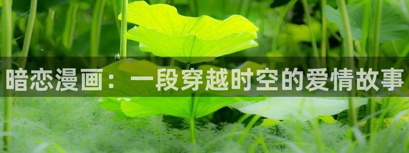 韩漫漫画网页