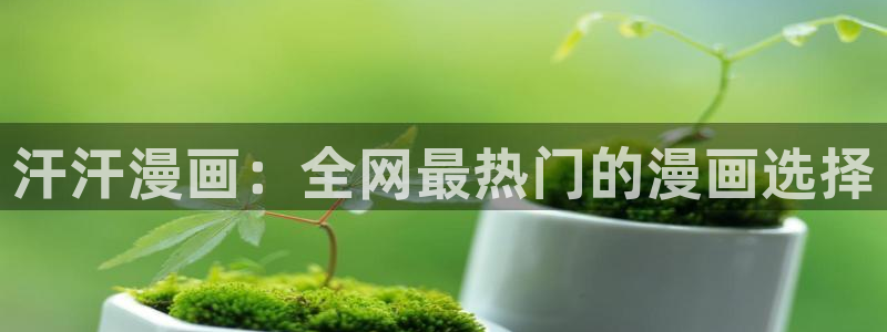 能看的韩漫网站