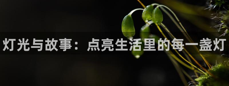韩漫漫画在线观看无删减