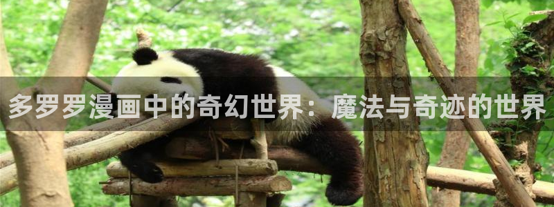 欲海交锋韩漫在线观看