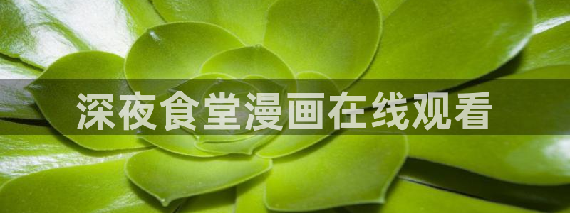韩国动漫免费韩漫