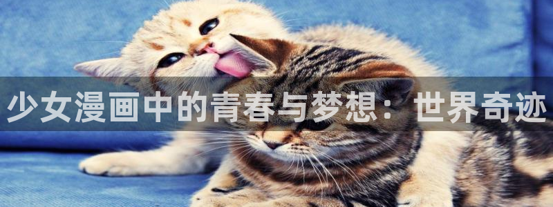 歪歪漫画韩漫在线观看