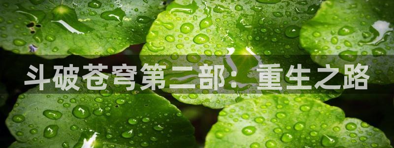 漫蛙免费韩漫