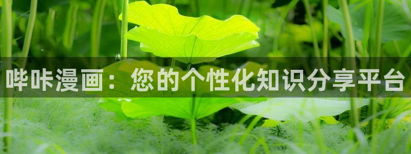 韩漫完全攻略漫画免费：哔咔漫画：您的个性化知识分享平台