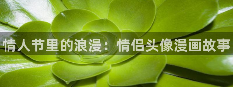 韩漫在线观看免费无删减