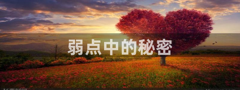 韩漫免费看的网址