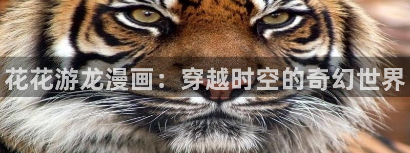 日韩漫画无删减